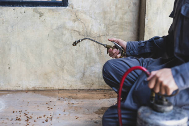 Best Wasp Removal Services  in Lytle, TX